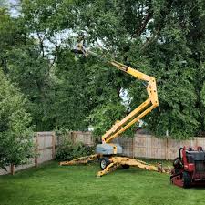 Best Artificial Turf Installation  in Bally, PA