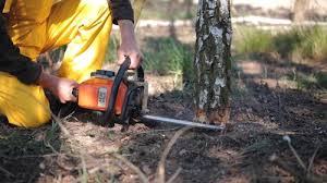 Lawn Watering Services in Bally, PA