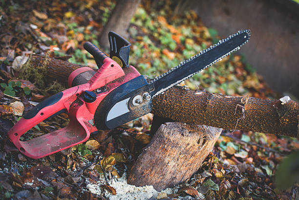 Best Pest Control for Lawns  in Bally, PA